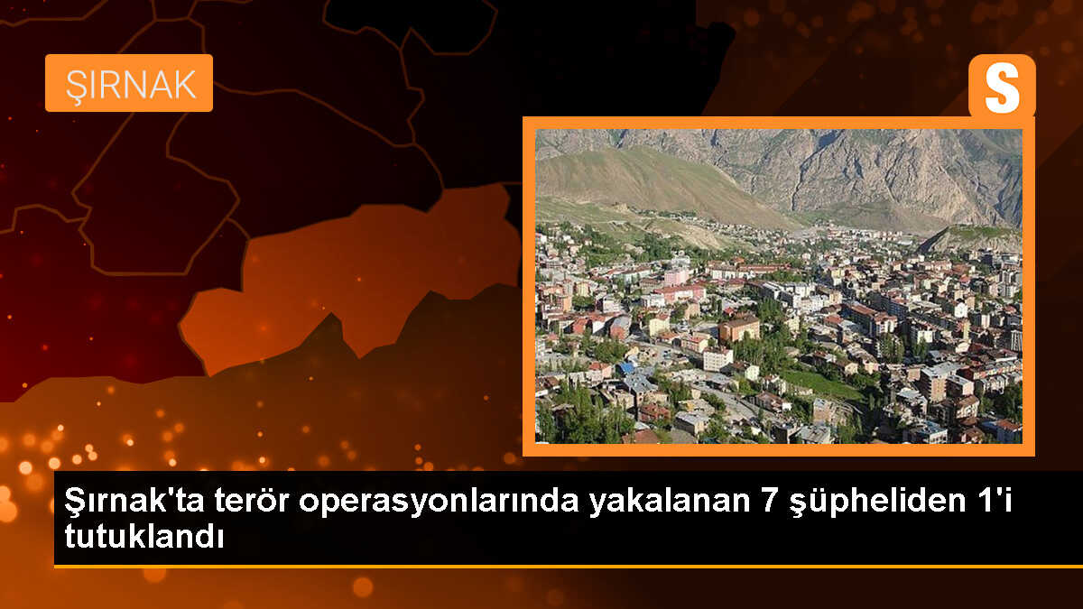 Şırnak\'ta PKK/KCK operasyonu: 1 tutuklama