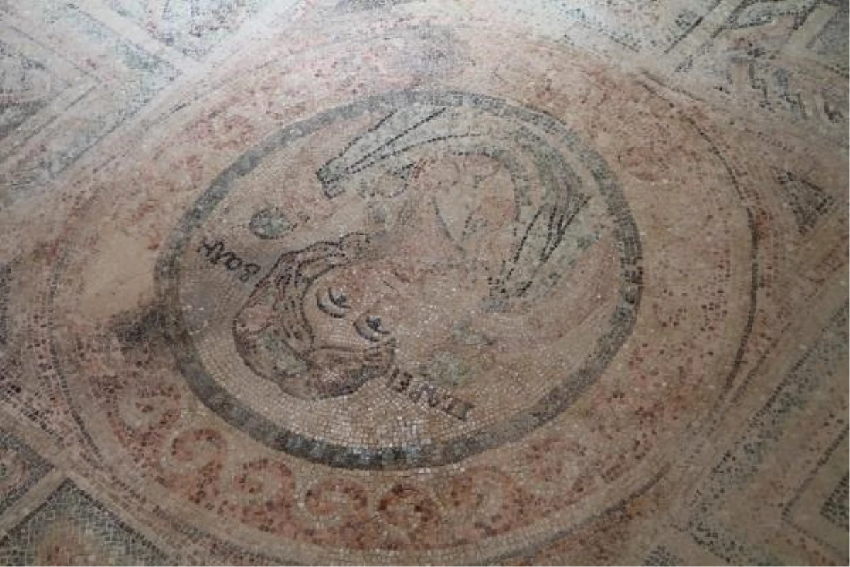 Amasya\'da 1700 yıllık Bereket Tanrıçası figürlü mozaik sergileniyor