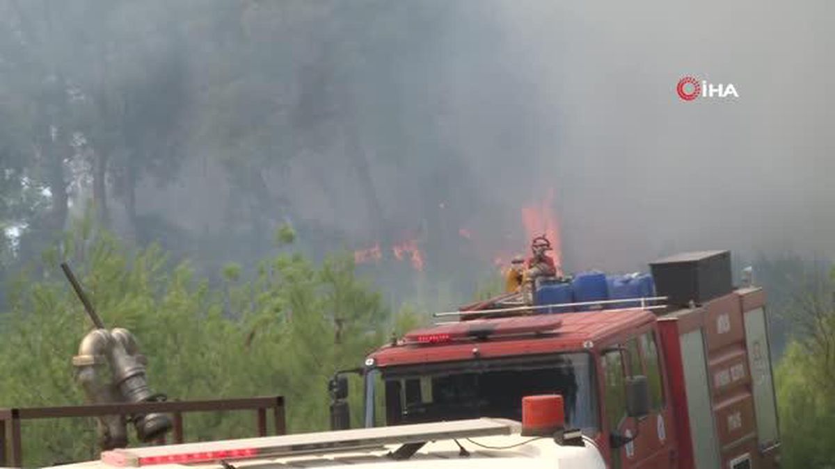 Antalya'da konteyner yangını ormanlık alana sıçradı