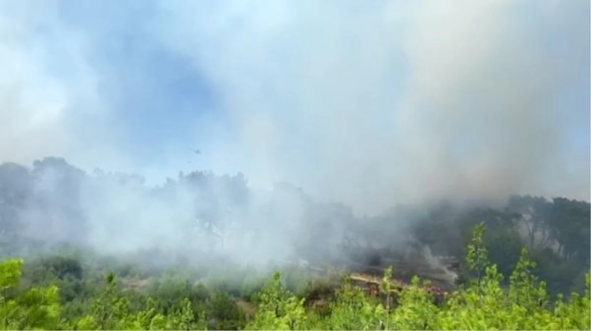 Antalya\'da İnşaat Sahasındaki Yangın Ormana Sıçradı
