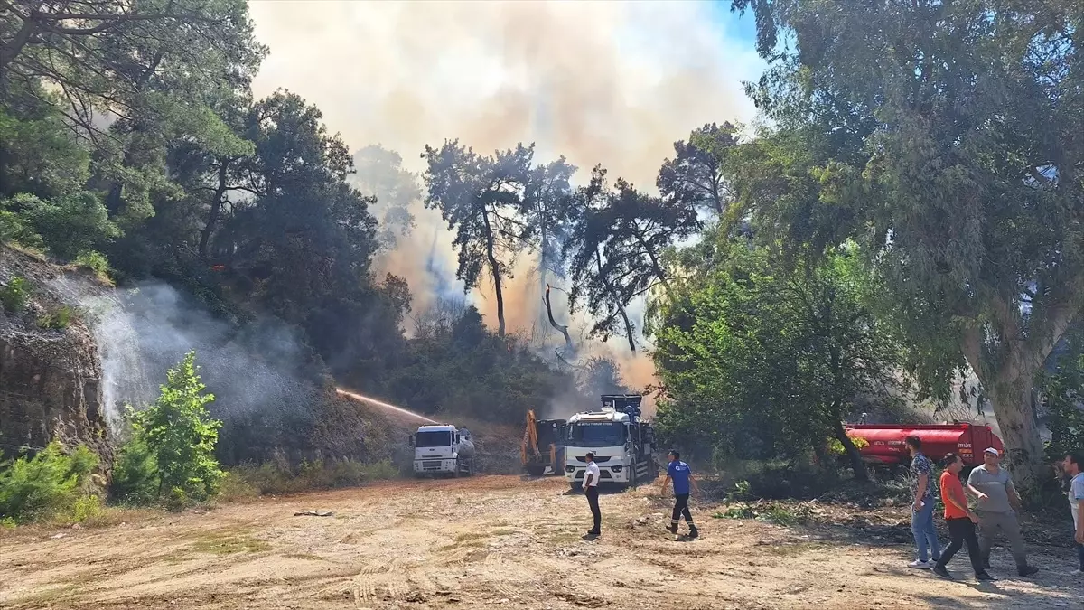 Antalya\'da orman yangını başladı