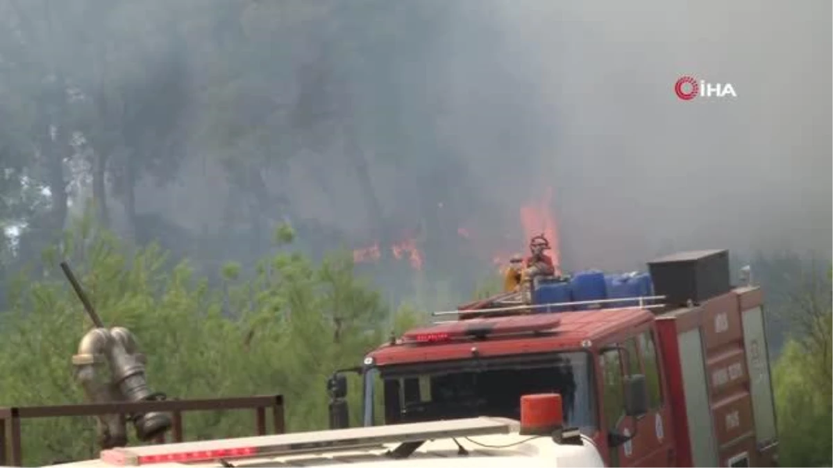Antalya\'daki orman yangını 1 saatte kontrol altına alındı