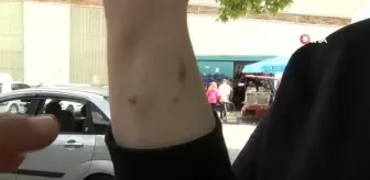 Başıboş Sokak Köpekleri Site Sakinlerini Bezdiriyor