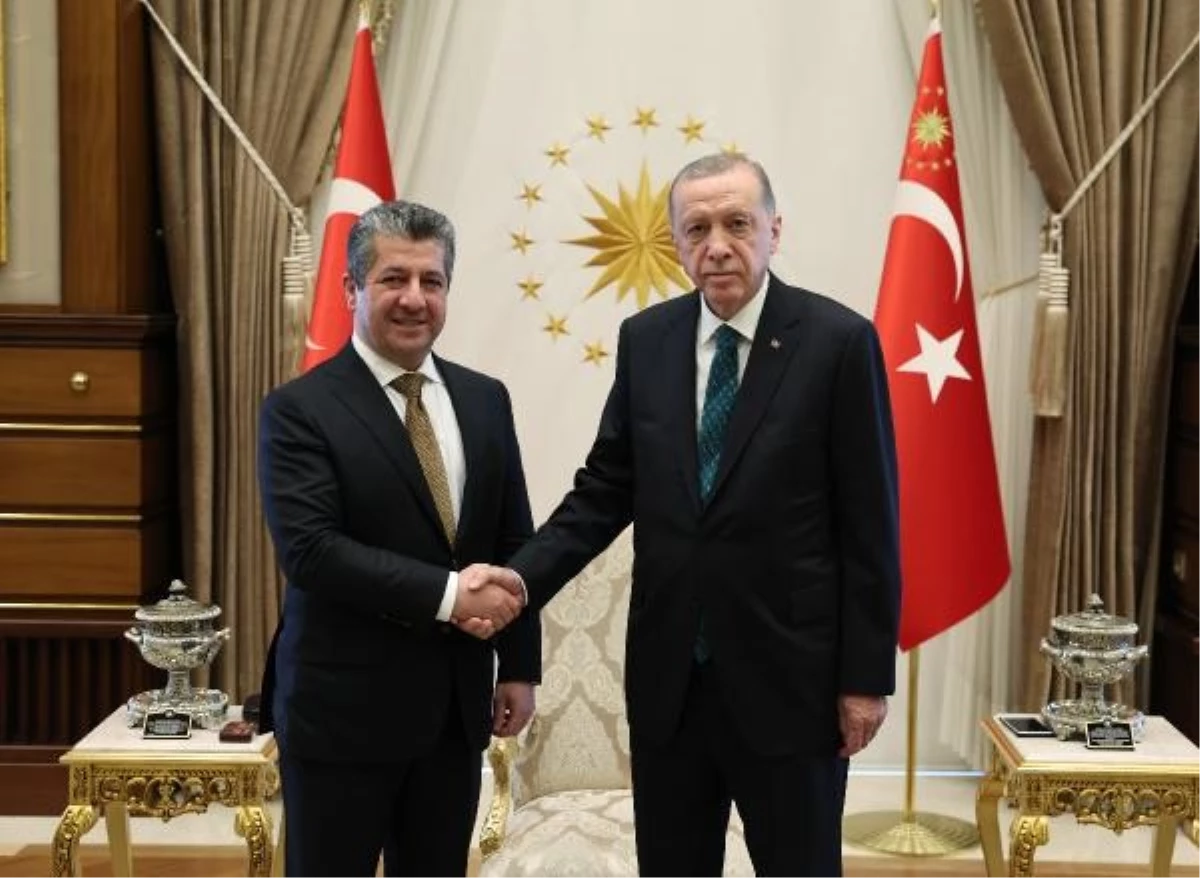Cumhurbaşkanı Erdoğan, Barzani\'yi kabul etti