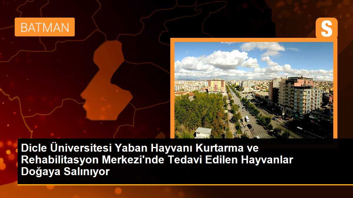 Soyu tehlike altındaki yabani hayvanlar Dicle Üniversitesi\'nde tedavi ediliyor