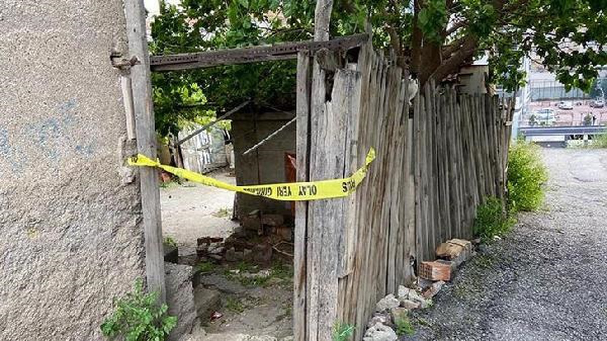 Köpek beslemesi nedeniyle tartıştığı ev sahibini öldüren şüpheli tutuklandı