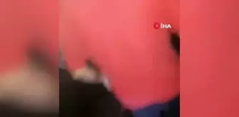 Erzincan'da çıkan yangında inekler telef oldu