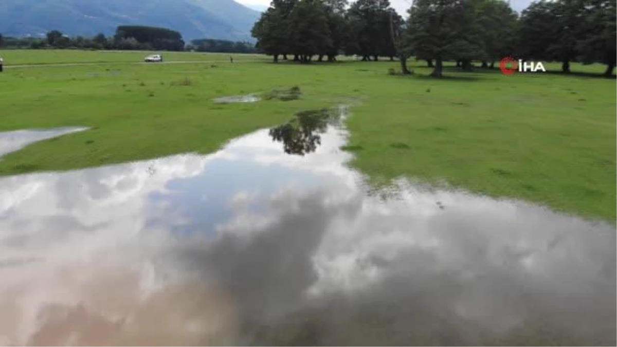 Efteni Gölü yağışlar sonrası taştı