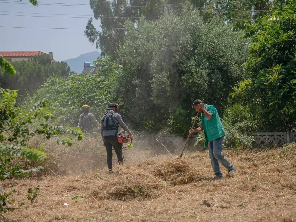 Kuşadası Belediyesi Kurban Bayramı öncesinde park ve yeşil alanlarda bakım çalışmalarını yoğunlaştırdı