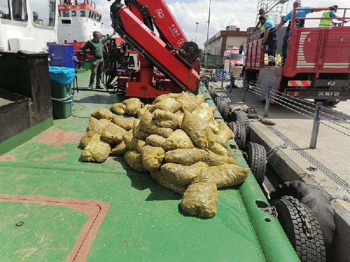 Marmara Denizi\'nde Kaçak Midye Operasyonu: 21 Tekneye El Konuldu, 70 Ton Midyeye El Konuldu