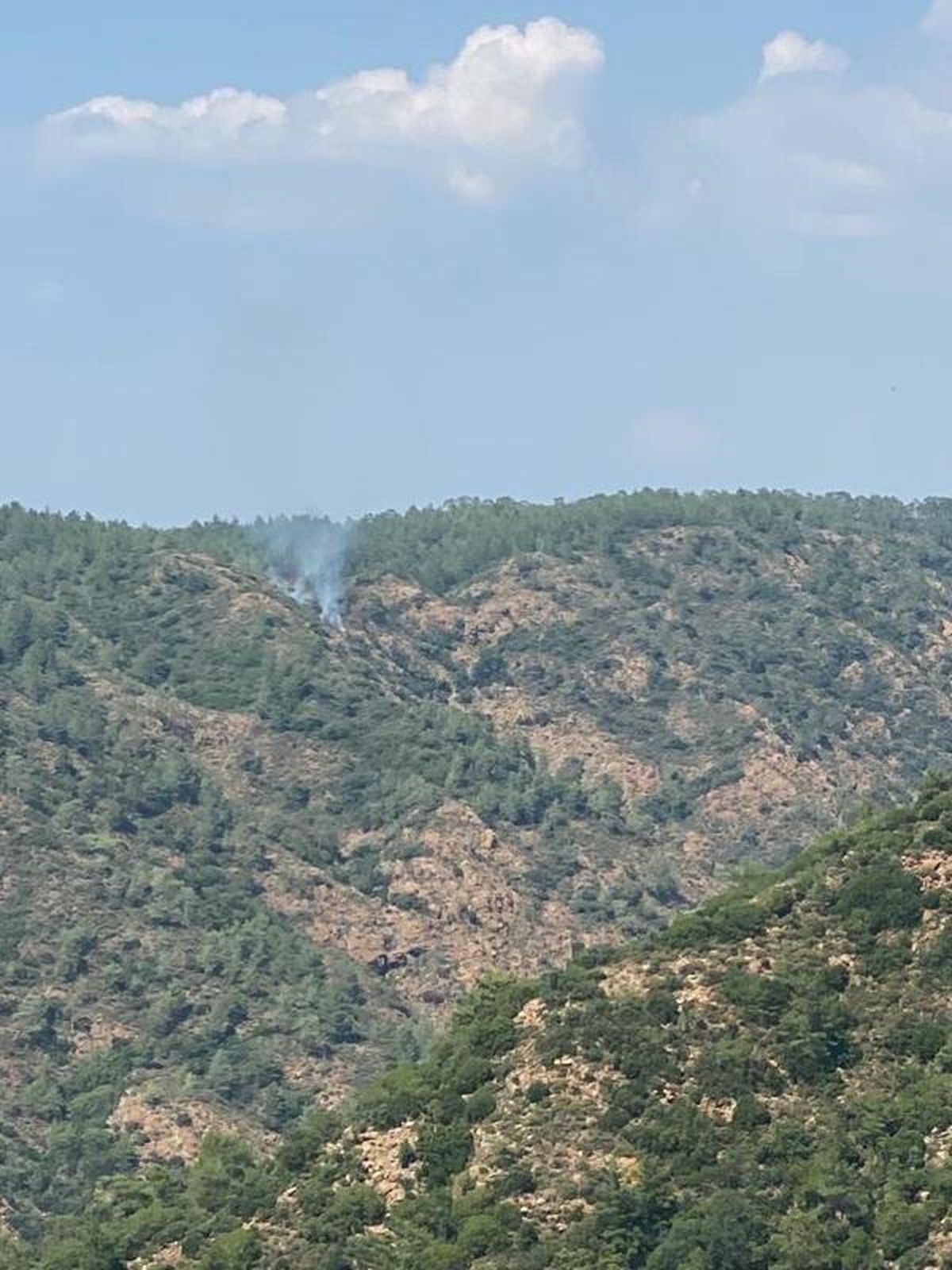 Marmaris\'te Orman Yangını Söndürüldü