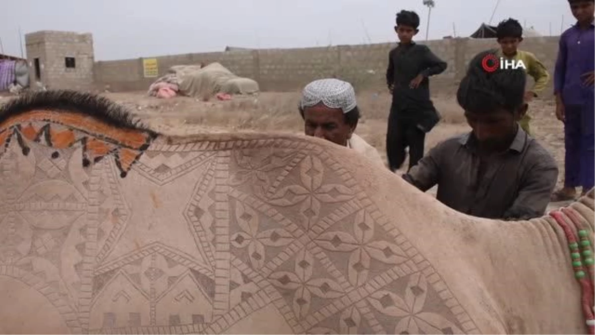 Pakistan\'da Kurban Bayramı öncesi develer geleneksel desenlerle süslendi