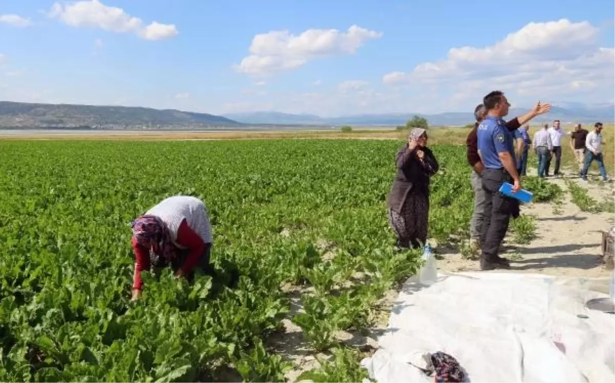 Burdur\'da Tarlada Çalışırken Omzuna Mermi İsabet Eden Genç Kız Hastaneye Kaldırıldı