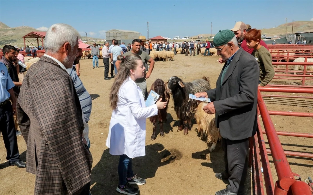 Van\'da Kurban Bayramı öncesi canlı hayvan pazarında bilgilendirme yapıldı