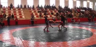 Sulusaray Sebastapolis U15 Serbest Güreş Turnuvası'nda 73 güreşçi mücadele etti