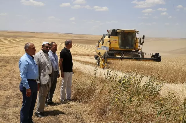 Diyarbakır'da 9 kişinin ölümüne neden olan tarlada hasat, barış heyeti gözetiminde başladı