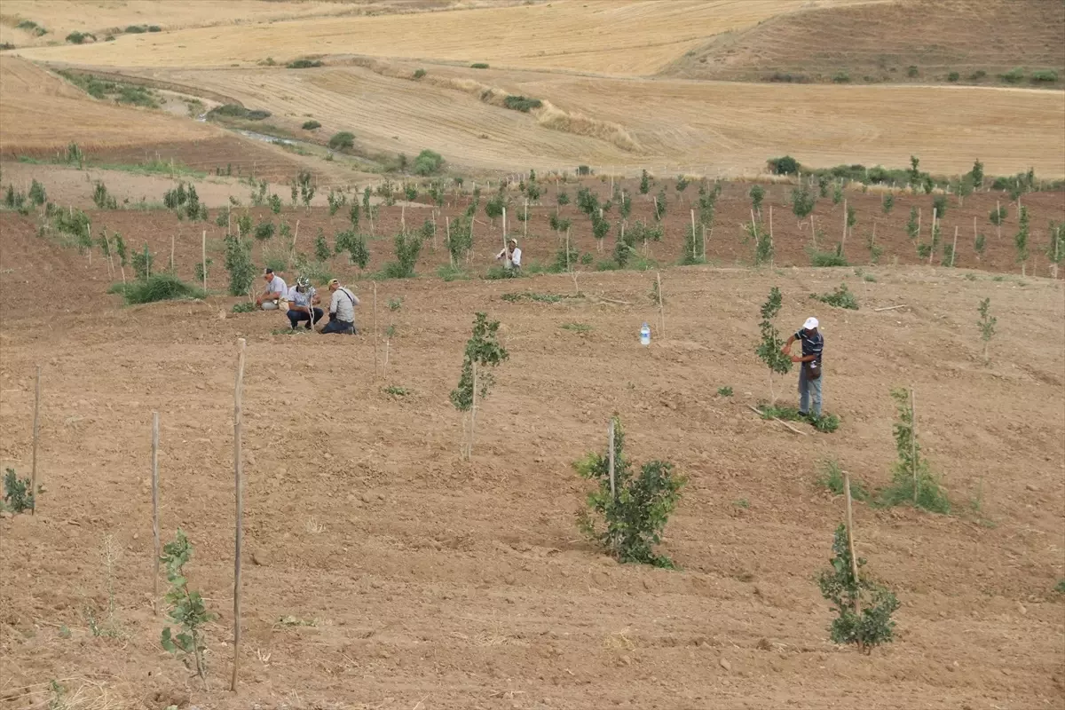 Diyarbakır Valisi Su: Kentte tüm sektörlere ciddi yatırımlar gerçekleştiriyoruz