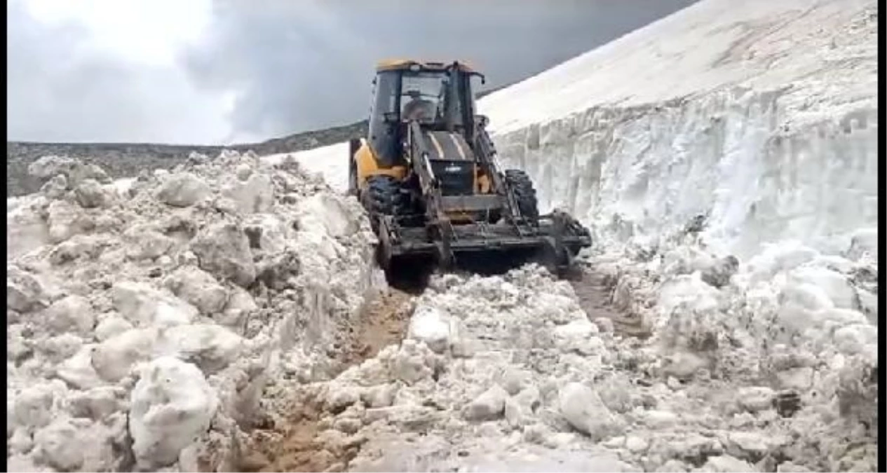 Kars\'ta 2 bin 600 rakımlı yaylanın karla kapalı yolu açıldı