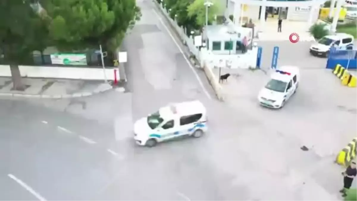 İzmir\'de Kukla Operasyonu: \'Camgöz\'ler çıktı