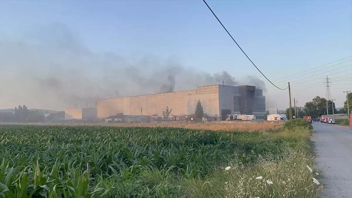 Kartepe\'deki Geri Dönüşüm Fabrikasında Yangın: 3 İşçi Hastaneye Kaldırıldı