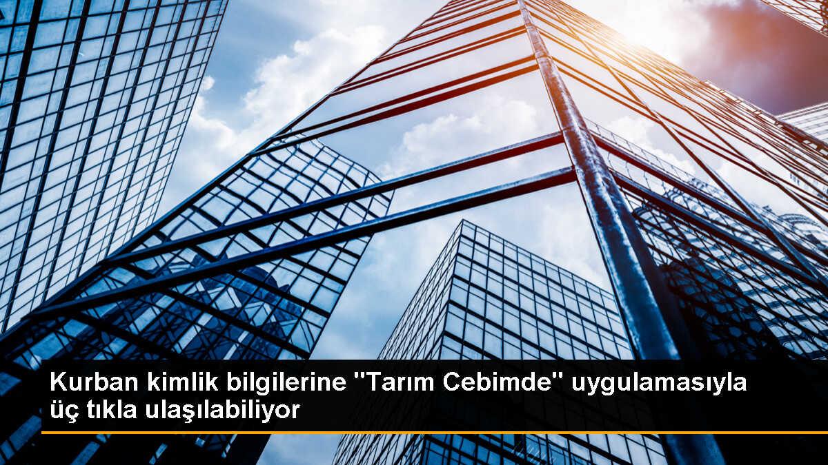 Tarım Cebimde uygulaması ile kurbanlık hayvanların bilgilerine kolay erişim sağlanıyor