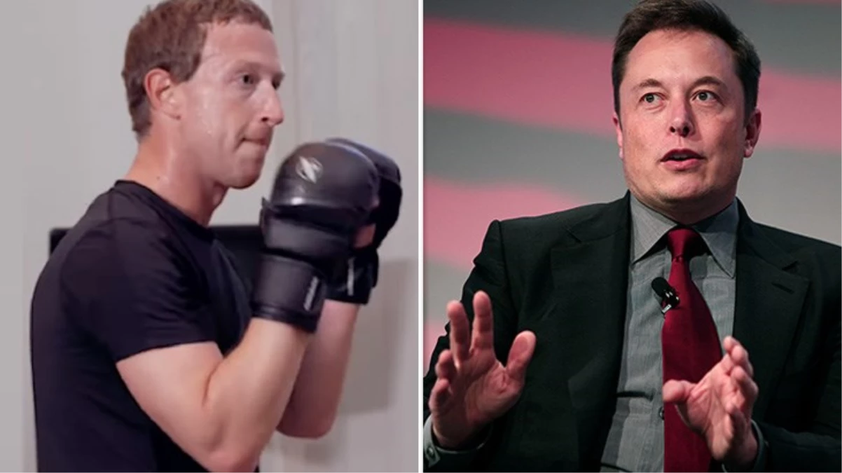 Elon Musk\'ın kafes dövüşü teklifine Mark Zuckerberg\'ten yanıt gecikmedi: Konum at