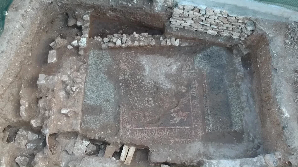 Sinop\'ta Helenistik Döneme Ait Çakıl Taşı Mozaikleri Bulundu