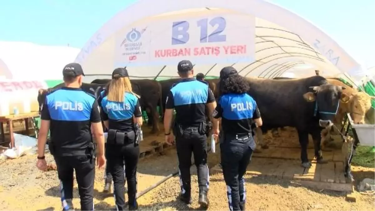 İstanbul\'da Kurban Pazarında Polis Ekipleri Sahte Para ve Dolandırıcılık Konusunda Satıcıları Uyardı