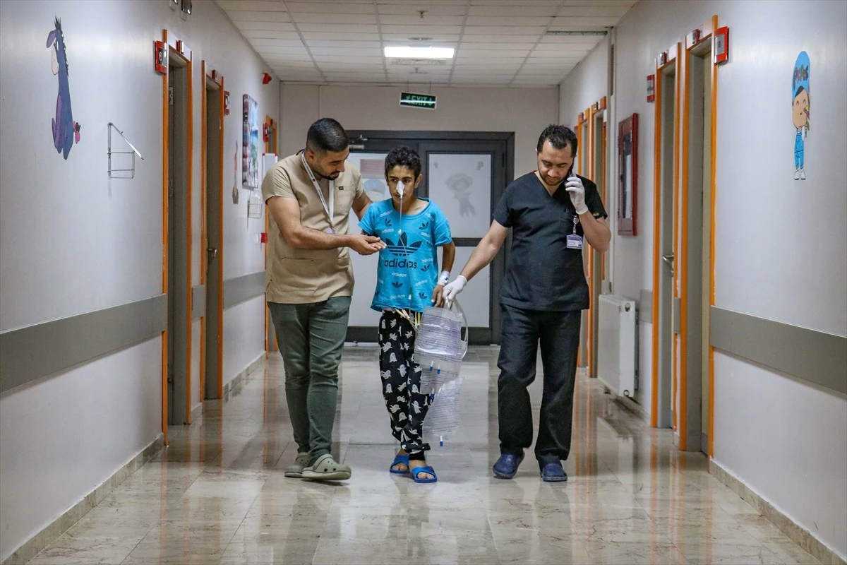Van\'da yabani ot zehirlenmesi: 13 yaşındaki çocuk ameliyatla kurtarıldı