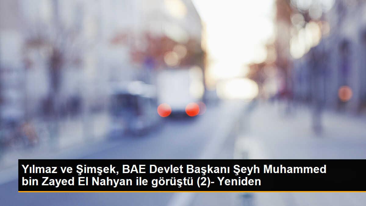 Cevdet Yılmaz ve Mehmet Şimşek BAE Devlet Başkanı ile Görüştü