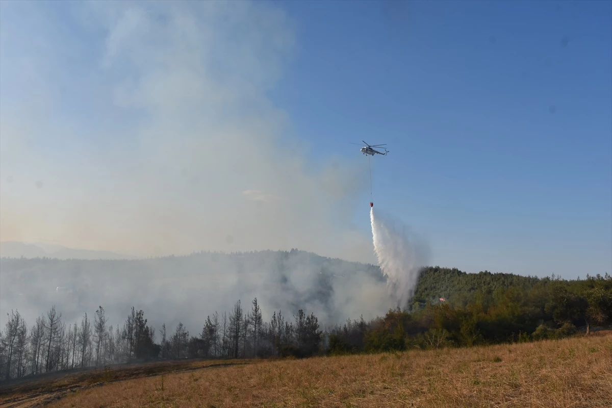 Adana\'da Orman Yangını Kontrol Altına Alındı