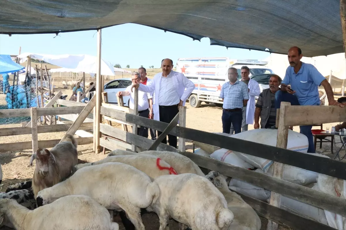 Adana\'da Kurban Satış Yerleri Denetlendi