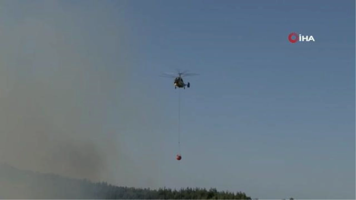 Adana\'daki orman yangını kısmen kontrol altına alındı