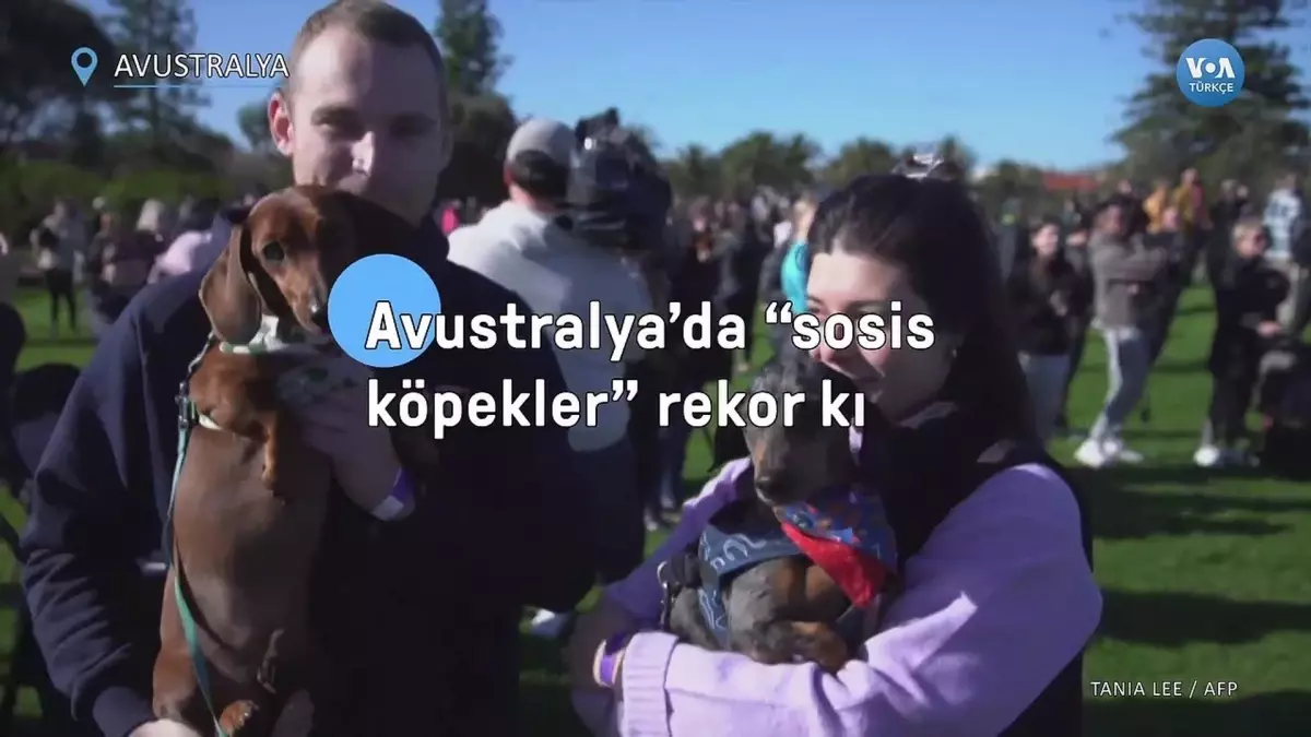 Avustralya\'da "sosis köpekler" rekor kırdı