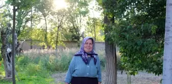 Oruç Baba İnan, Sanayi ve Teknoloji Bakan Yardımcılığı'na atandı