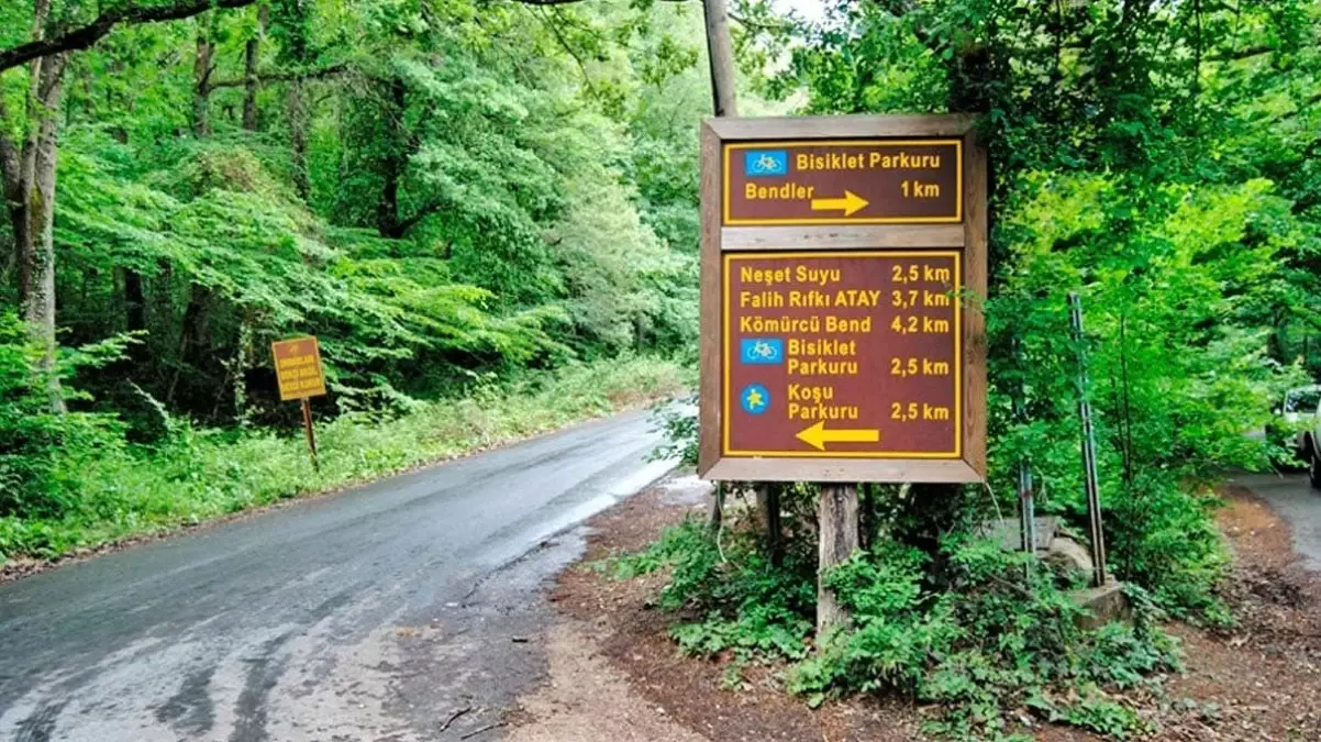 Belgrad Ormanına girmek yasak mı 2023? Belgrad Ormanında mangal yakmak yasaklandı mı? İstanbul Valiliği\'nden orman yasağı!