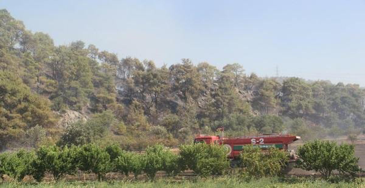 Çanakkale\'deki Ormanlara Girişler 15 Eylül\'e Kadar Yasaklandı