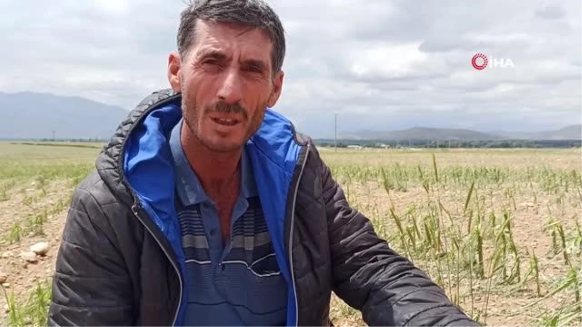 Elbistan\'da dolu yağışı çiftçilerin emeğini yok etti