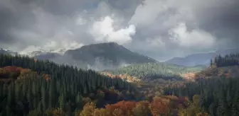 Epic Games Bu Hafta Hangi Oyunları Ücretsiz Veriyor?
