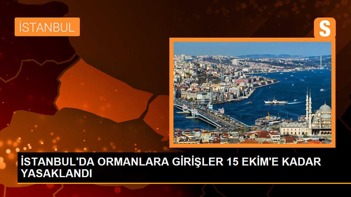 İstanbul\'da Ormanlara Girişler 15 Ekim\'e Kadar Yasaklandı