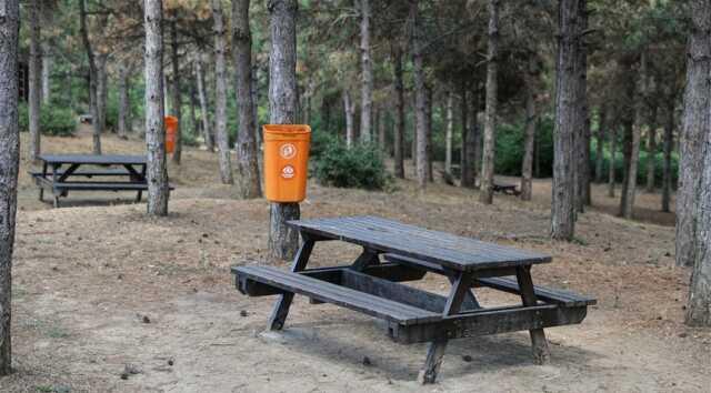 İstanbul Valiliği orman yasağı getirdi! İstanbul'da hangi ormanlara giriş yasağı geldi? Orman yasağı ne zaman başlıyor 2023?