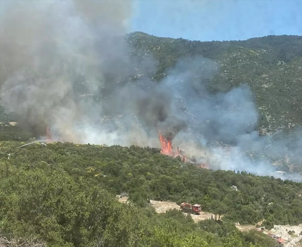 Kaş\'ta çıkan orman yangınına havadan ve karadan müdahale ediliyor