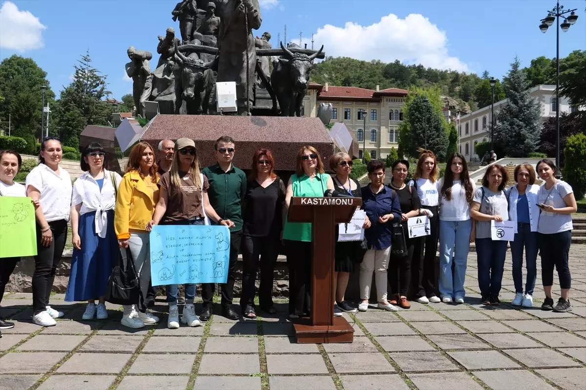 Kastamonu\'da kedi tüfekle öldürüldü, hayvanseverler protesto etti