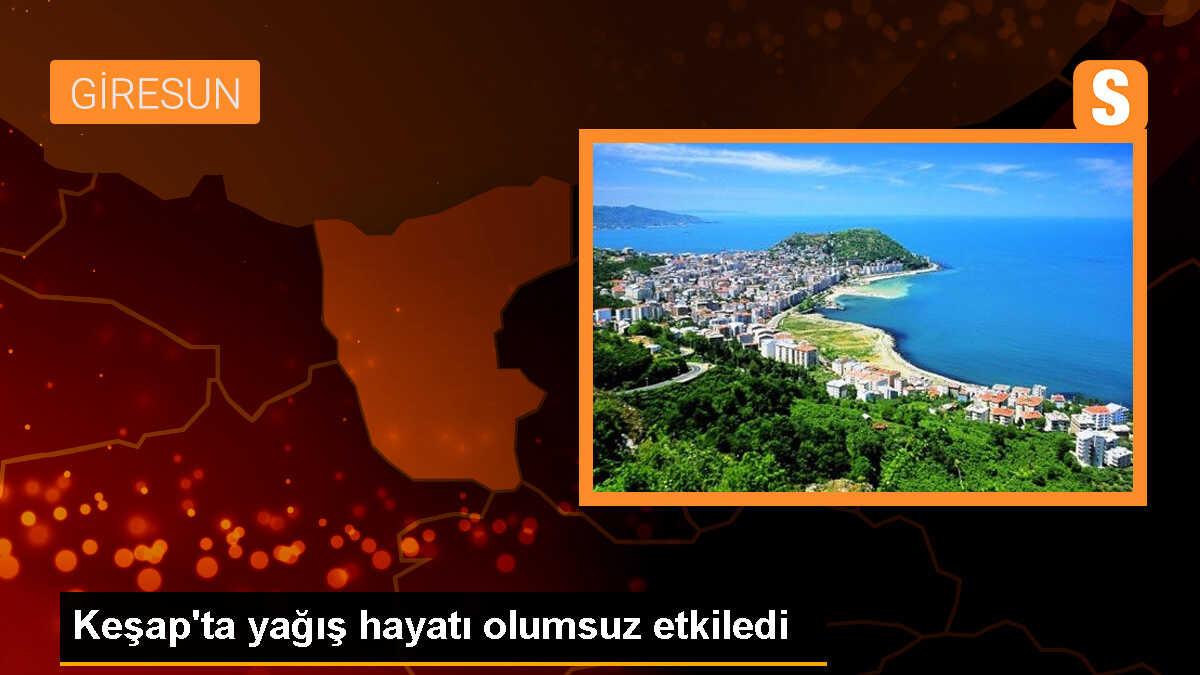 Keşap\'ta yağış hayatı olumsuz etkiledi