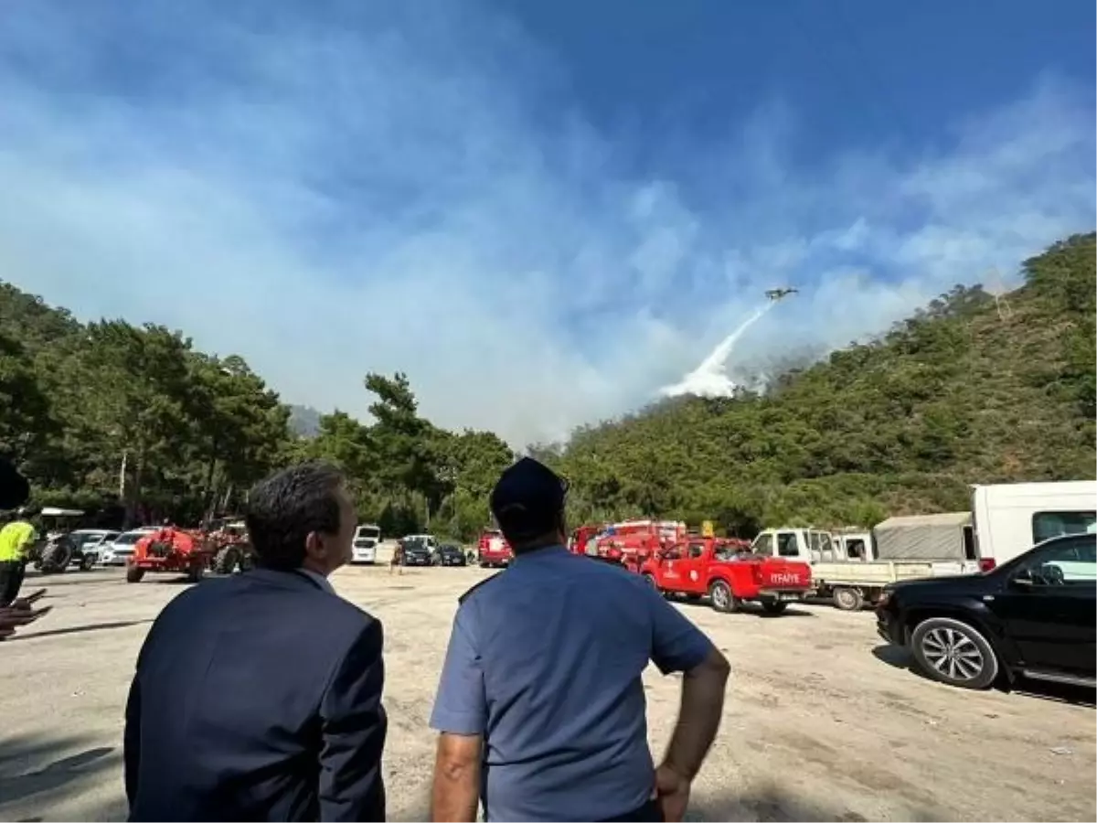 Vali Tavlı Yangın Bölgesinde