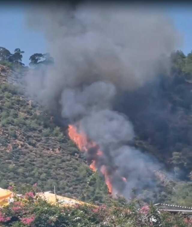 Marmaris'te orman yangını! havadan ve karadan müdahale ediliyor