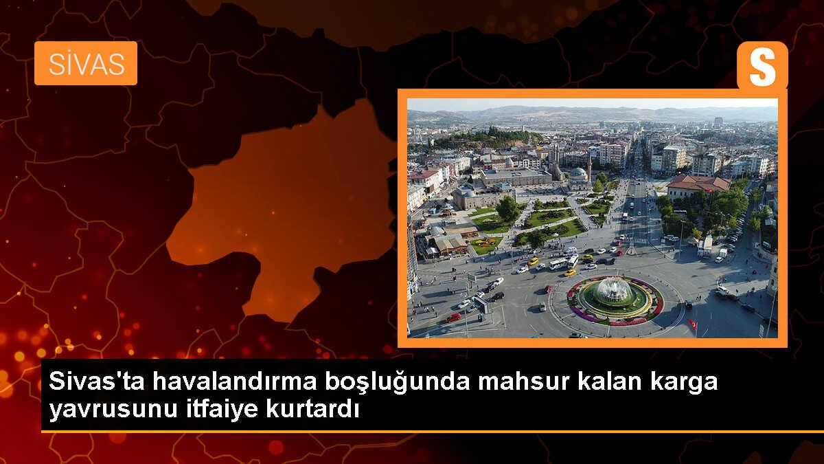 Sivas\'ta Mahsur Kalan Karga Yavrusu İtfaiye Ekipleri Tarafından Kurtarıldı