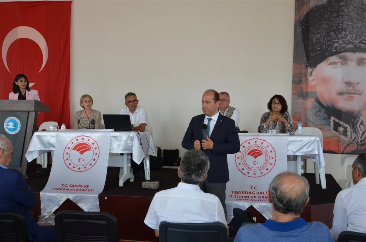 Şarköy\'de Zeytincilik Sorunları ve Çözüm Önerileri Toplantısı Yapıldı