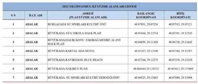 Yasak sonrası İstanbul'da nerede denize girilebilir? Valilik 96 plajın yer aldığı listeyi paylaştı