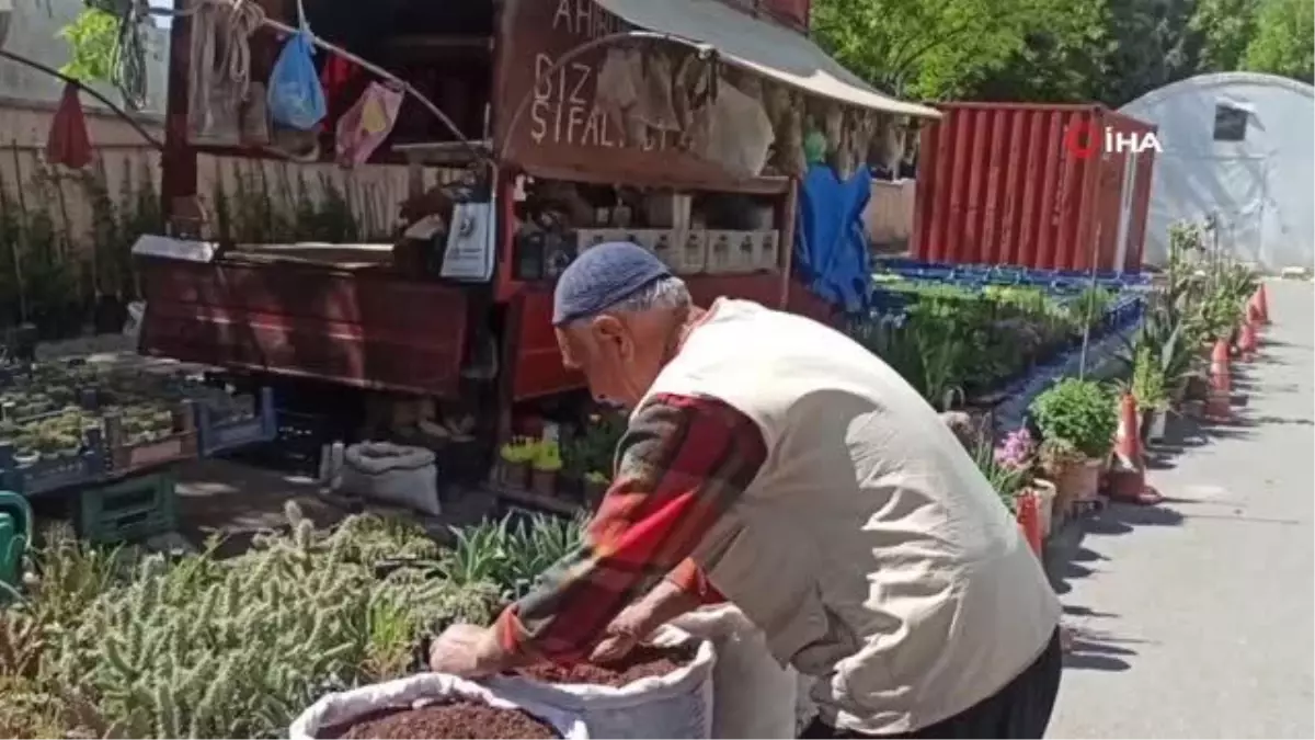 Çiçekçi Dede, Kendi Yetiştirdiği Fidelerle Ekonomik Gelir Elde Ediyor